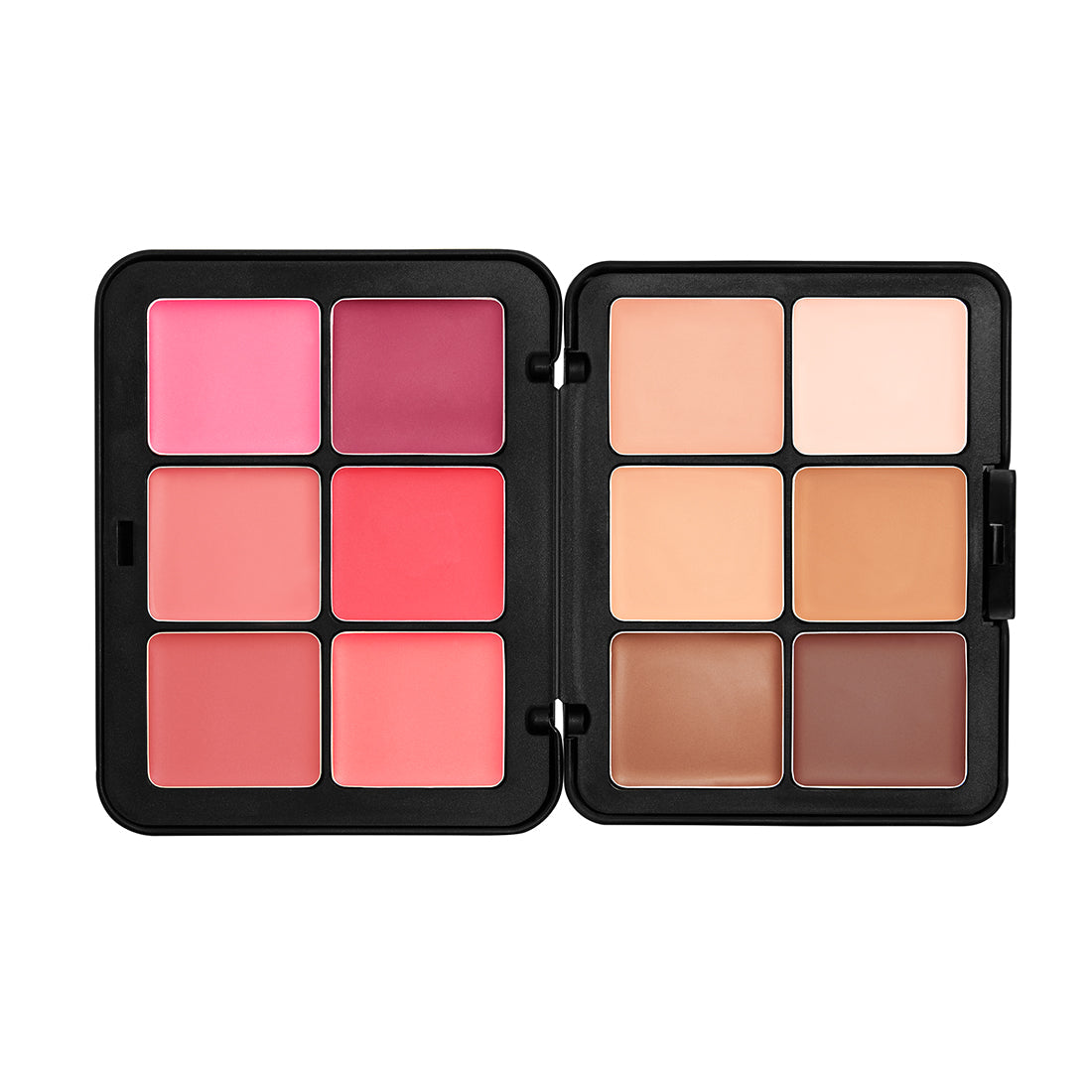 ماك اوفر PRO SERIES FACE ESSENTIALS PALETTE
FP01