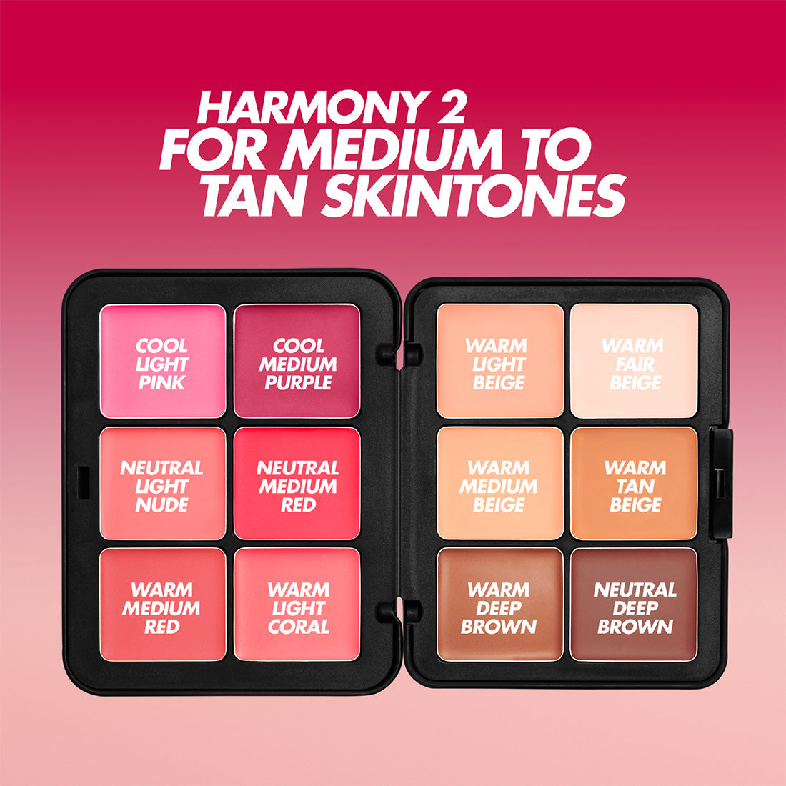 ماك اوفر PRO SERIES FACE ESSENTIALS PALETTE
FP01
