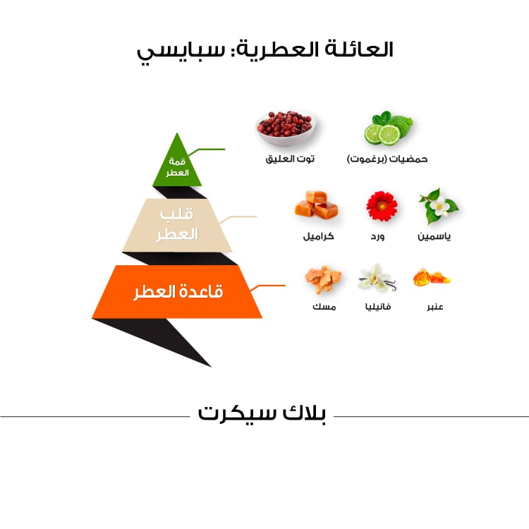 عطر بلاك سيكرت كلاسيك - 150 مل
